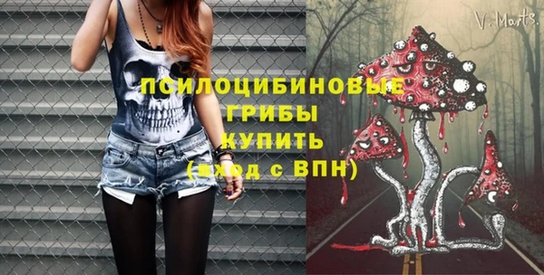 экстази Белокуриха
