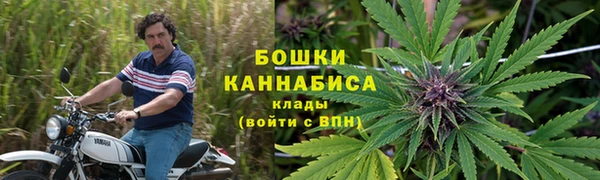 экстази Белокуриха